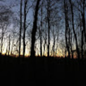 Meet your Posher, Clay